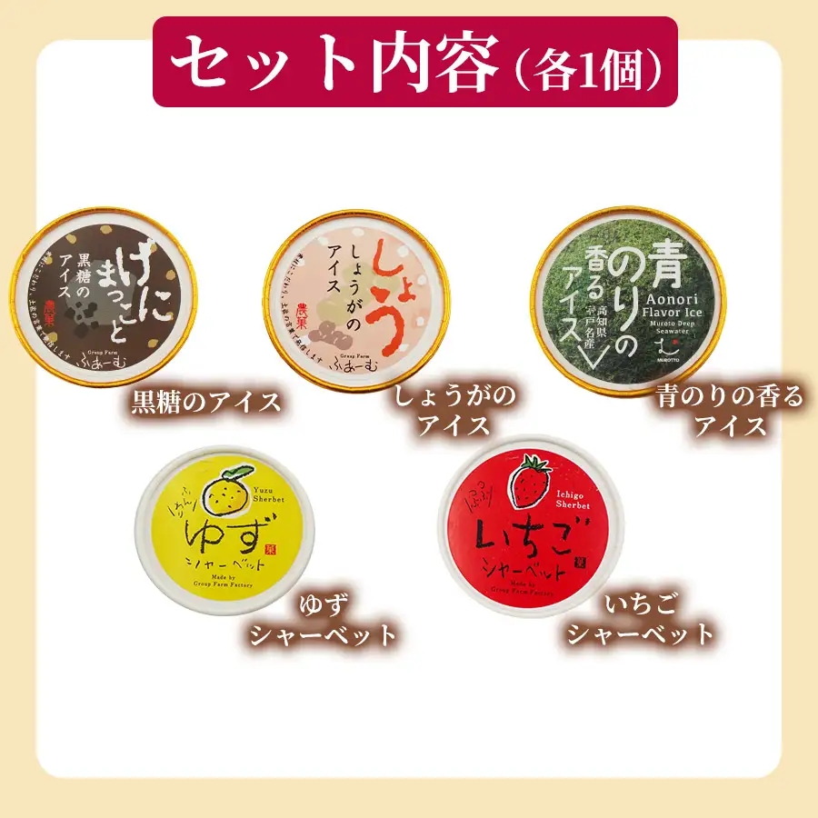 山海のアイス 100ml×10個 定期便 6回 アイス_BQ119