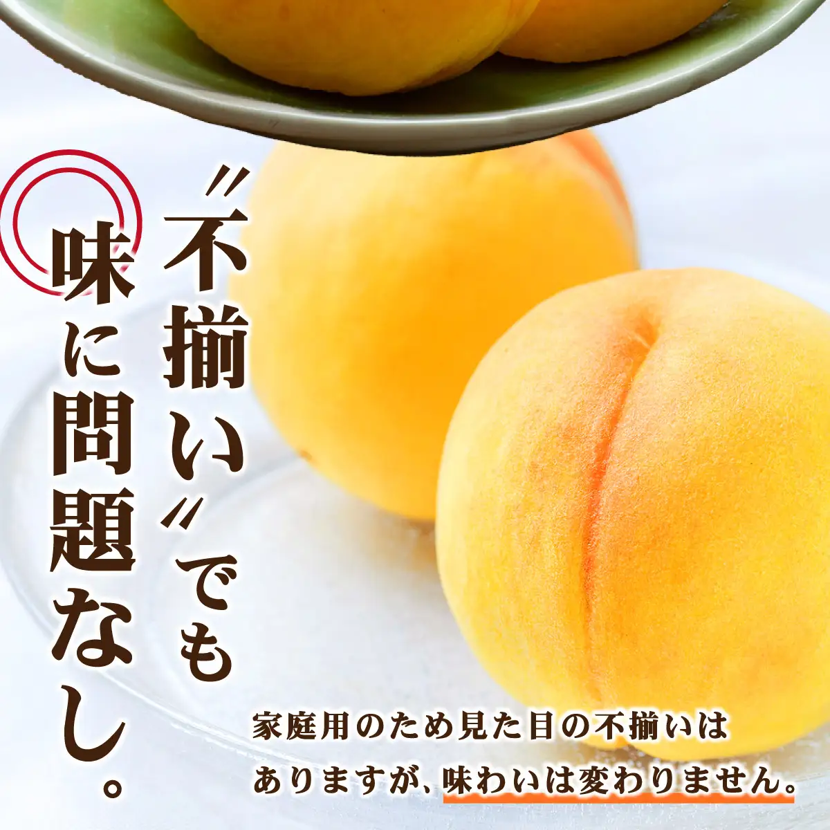 【先行予約】2026年9月発送【家庭用】岡山県産 黄金桃 4kg