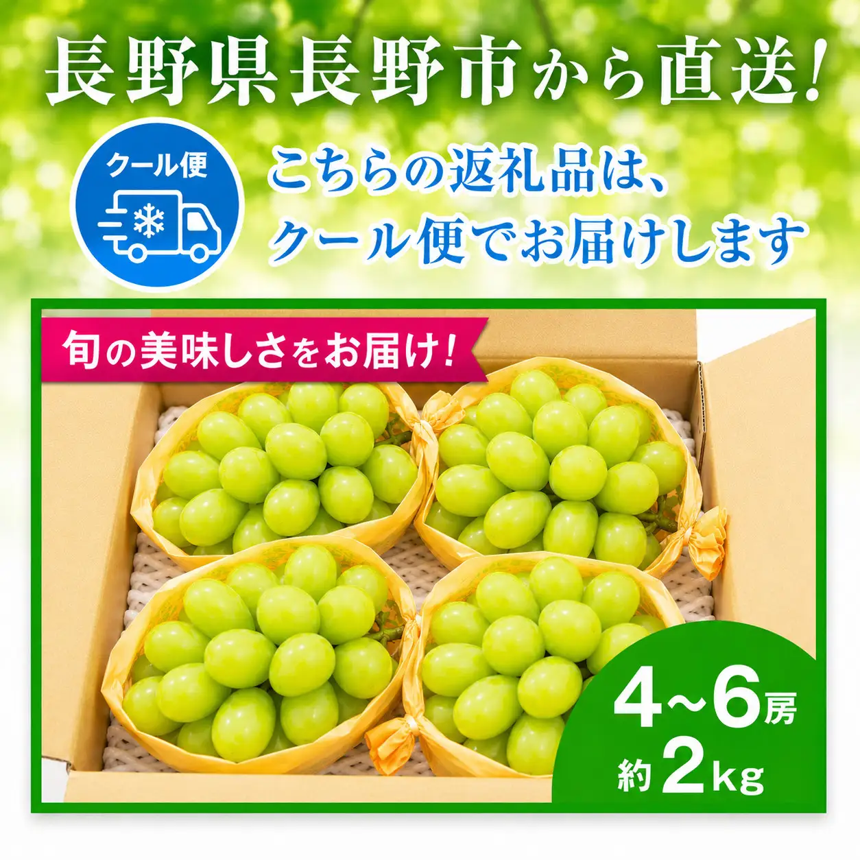 長野市産 シャインマスカット約2kg（4～6房）【2026年発送】 ｜ ぶどう シャインマスカット