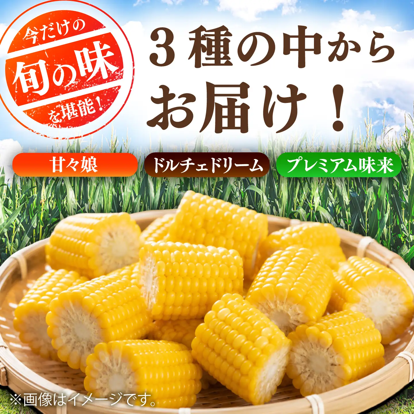 【先行予約】【2027年6月上旬より順次発送】【訳あり】スイートコーン(品種問わず) 4kg以上(10～20本) / 甘々娘 ドルチェドリーム プレミアム味来 熊本県 菊陽町【なかむら農園】[BHCJ005]