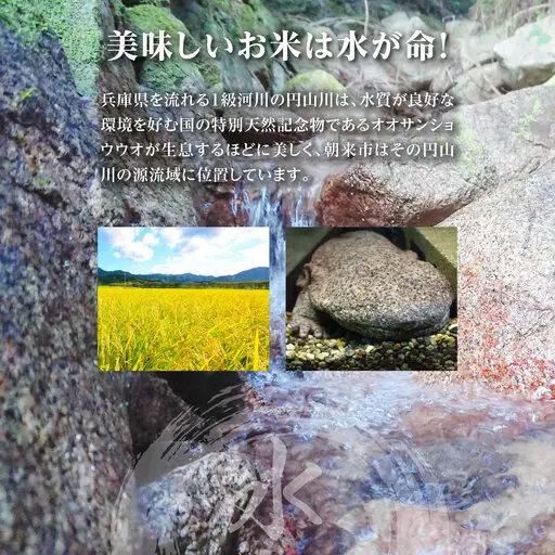 無洗米 R7年産にじのきらめき 10㎏【7営業日以内発送】無洗