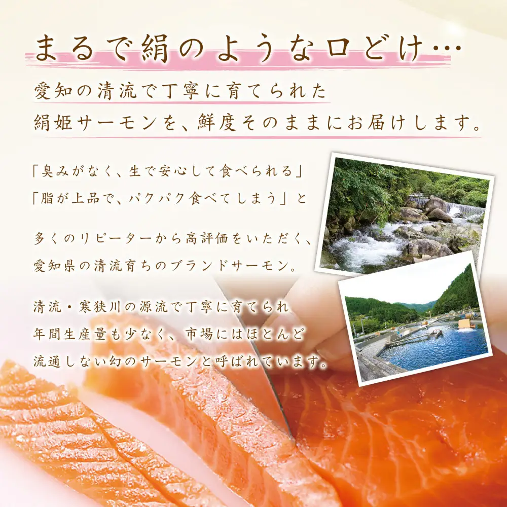 愛知ブランド・炙り絹姫サーモン柵約500ｇ