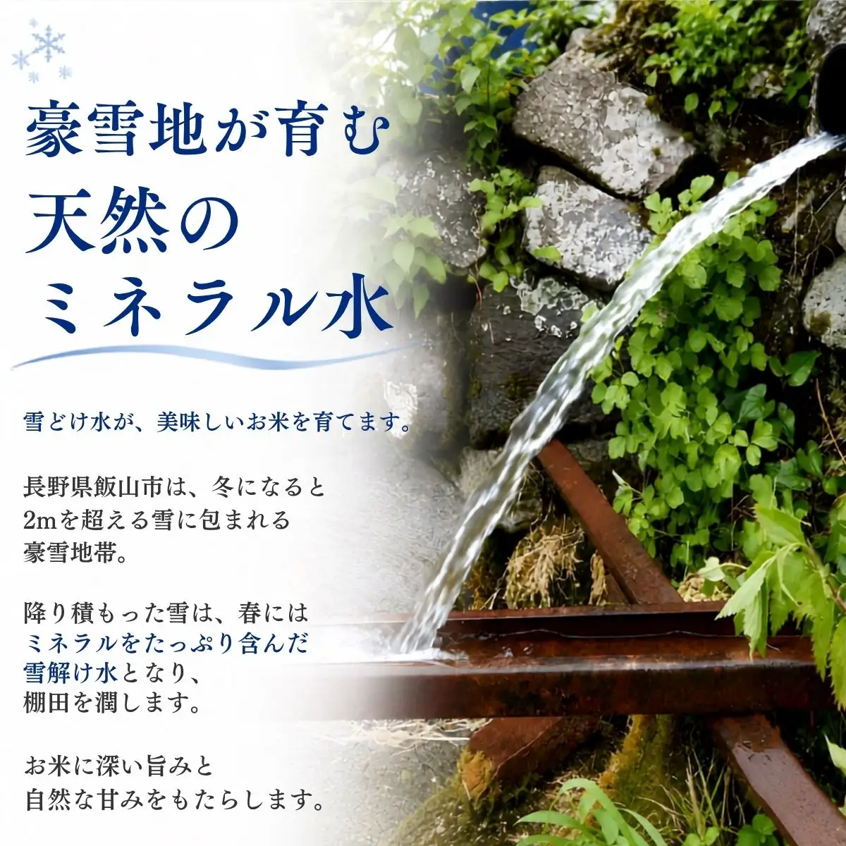 【新米予約】 棚田米 ゆうだい21  (5kg)  福島棚田 