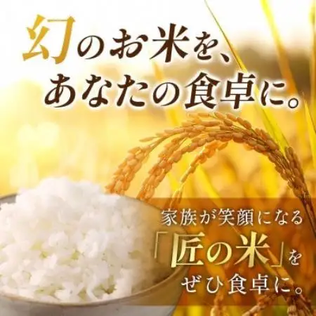 【発送月固定定期便】【先行予約】生産者応援!岐阜県産ハツシモ(無洗米)10kg【1～3月】全3回【配送不可地域：離島】【4089359】