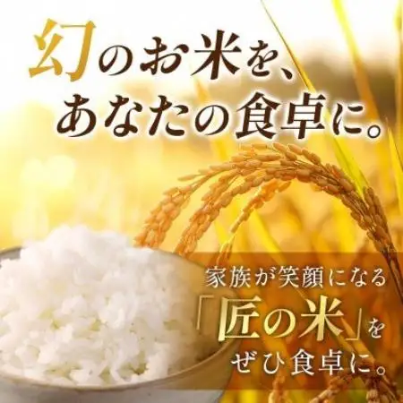 【発送月固定定期便】【先行予約】生産者応援!岐阜県産ハツシモ(精米)10kg【1・2月】全2回【配送不可地域：離島】【4089362】