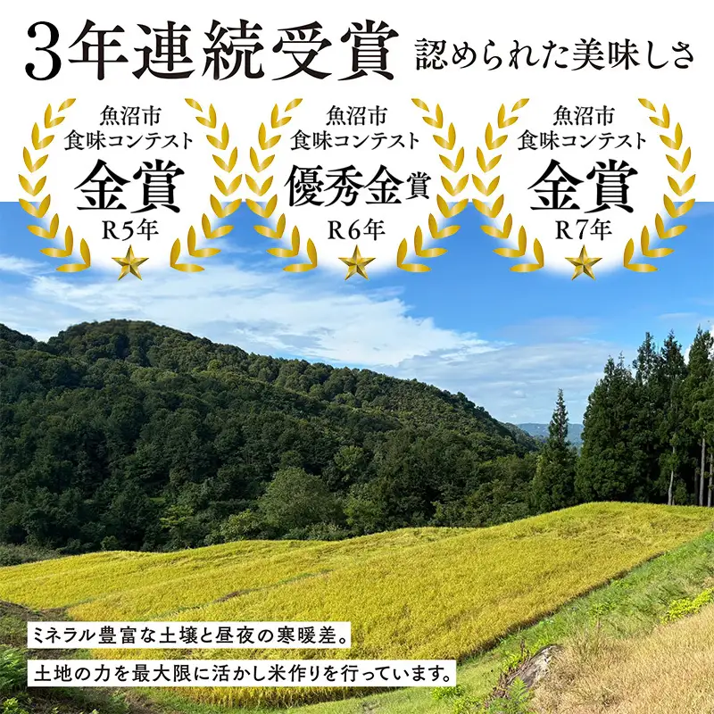 【令和8年産 先行予約】 魚沼産コシヒカリ雪の恵（精米）10kg(5kg×2) 魚沼市 米 こめ コメ お取り寄せ