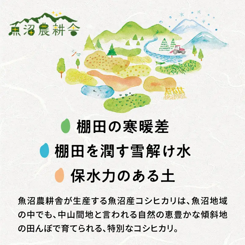 【令和8年産　先行予約】有機JAS認証米 米農家自慢の 魚沼産 コシヒカリ精米3kg×1袋 米 お米 こめ こしひかり 白米 有機 新潟県 魚沼市 魚沼