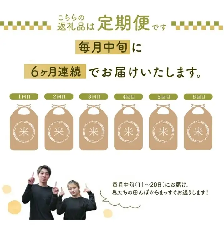 SG0151　10月中旬発送開始／【6回定期便】令和8年産 ［無洗米］雪若丸　5kg×6回(計30kg) 農家直送 HO
