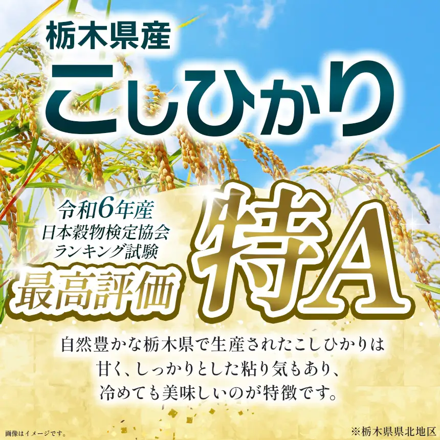 【先行予約】【令和8年度産】 栃木県産コシヒカリ 2kg 