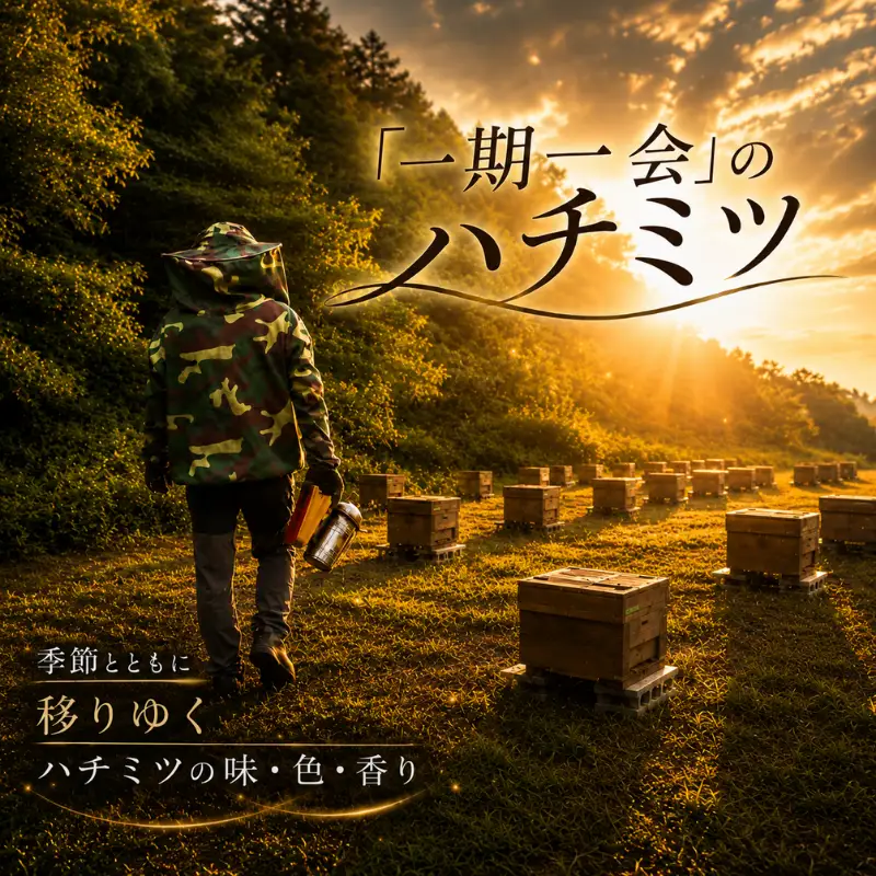 はちみつ 百花蜜 5月蜜 6月蜜 7月蜜 50g×10個 非加熱 産地直送 国産 一期一会 はちみつ 鹿嶋市