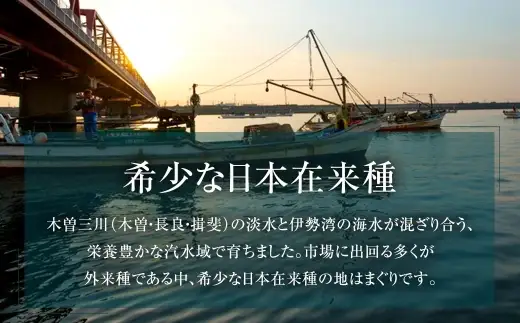 奥山安蔵商店 はまぐり 約1kg 特製だし汁付き 蛤 貝 魚介 魚介類 海鮮 地はまぐり 希少 出汁 酒蒸し 焼きはまぐり 産地直送 冷蔵