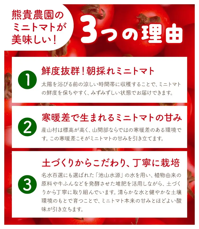 ミニトマト ほれまる 約1kg 熊貴農園