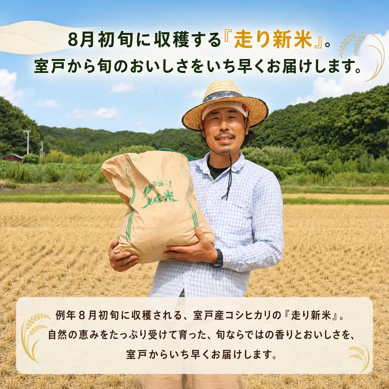 【新米】 令和8年産 先行予約 「コシヒカリ」 5kg ｜ 新米