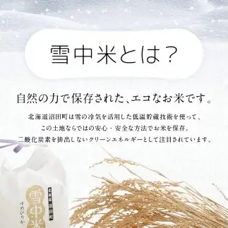 令和8年産 特Aランク米 ななつぼし 玄米 20kg（10kg×2袋）【3月発送】 雪冷気 籾貯蔵 雪中米 北海道 nr-2169