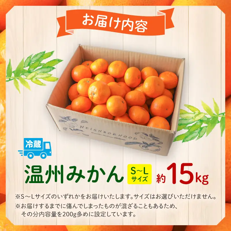 果物 温州みかん 果物[15kg 2026年～2027年発送先行予約]