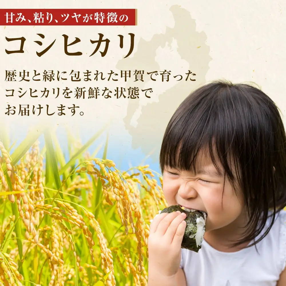 令和7年産】近江米コシヒカリ白米5kg | 滋賀県（県庁） | ふるさと納税