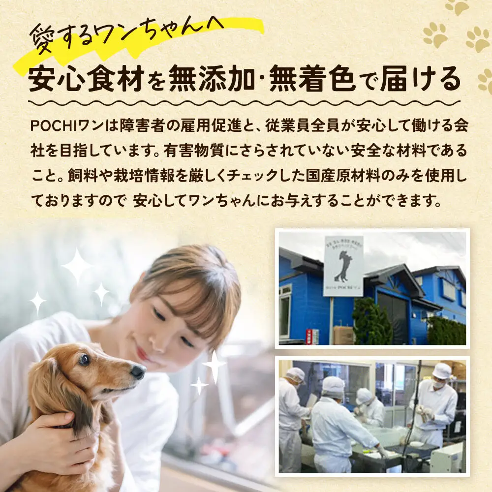 わんちゃん手づくりおやつ「ごちワン」サーモントリーツ 国産ヘルシートリーツ ドッグフード 無着色・無香料