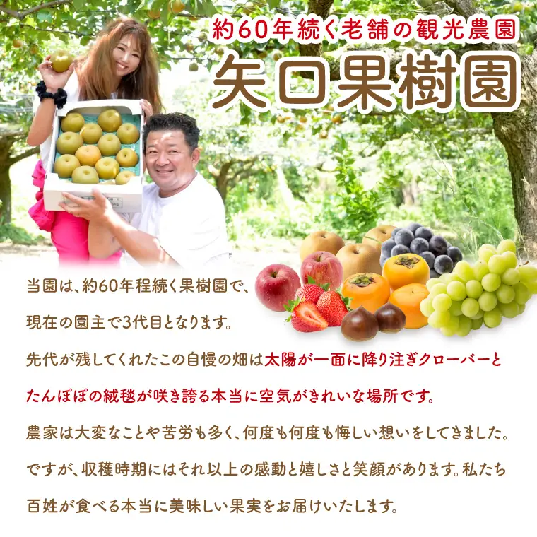 【9月中旬より発送】【数量限定】採れたて 梨 甘太 3kg（茨城県共通返礼品／かすみがうら市）（FW-15）