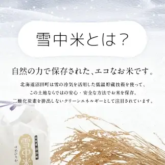 令和8年産 特Aランク米 ななつぼし 精米 20kg（5kg×4袋）【1月発送】 雪冷気 籾貯蔵 雪中米 北海道  nr-2090
