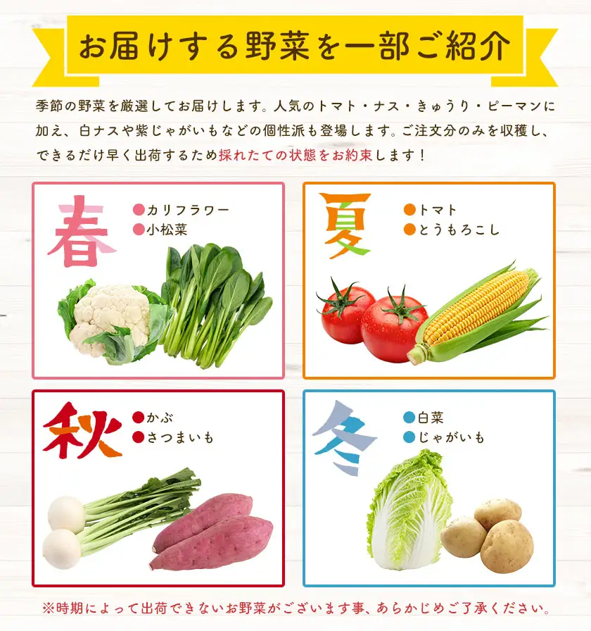 野菜 旬の野菜セット Sサイズ 約6～7種 ベジLIFE!! 【配送不可地域あり】（沖縄・離島）