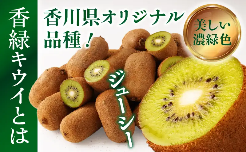 【先行受付】ご家庭用香緑キウイ　約1.5kg【香川県共通返礼品】 | キウイ フルーツ 果物 香川県 香緑 デザート サラダ ヨーグルト トッピング 国産 季節限定 青果物 旬 おすすめ |_mk006-133