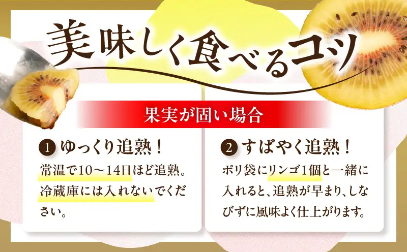 【先行受付】さぬきエンジェルスイートキウイ　約1.5kg【香川県共通返礼品】|さぬき エンジェルスイート 果物 フルーツ 人気 香川 香川県 三木町 厳選 追熟 ジューシー 糖度が高い 先行受付 先行予約 季節限定 旬 おすすめ|_mk006-135