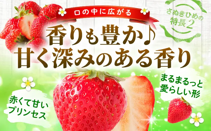 【先行予約】【出荷最盛期・感謝企画】数量限定!!さぬきひめいちご　約500g | スイーツ いちご ストロベリー さぬきひめ 苺 冷蔵 フルーツ 旬 果物 青果 青果物 お裾分け ギフト 香川県 デザート 青果物 先行予約 季節限定 旬 おすすめ 三木町 |_mk006-140