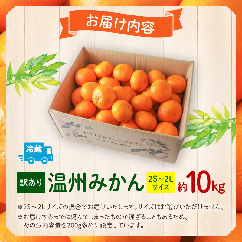 果物 温州みかん 果物[訳あり 10kg 2026年～2027年発送先行予約]