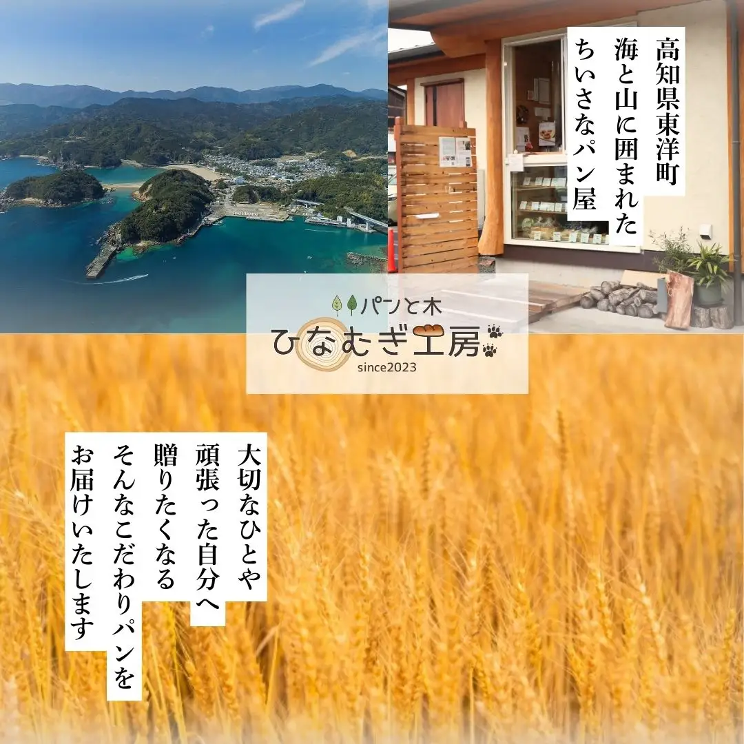 ぶどう食パン