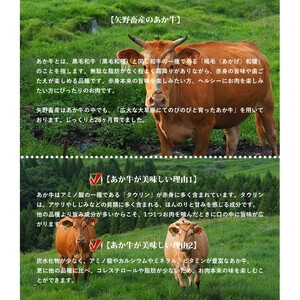 【矢野畜産】熊本県産 あか牛 肩ロース すき焼き・しゃぶしゃぶ用 500g 産地直送 褐毛和種 くまもと 国産 熊本 阿蘇 和牛 あかげわしゅ サシ 赤身 焼きしゃぶ 炒め物 矢野畜産 にくやの 老舗 おうちごはん 贈答 ギフト 阿蘇の自然の宝物 チルド 冷凍配送