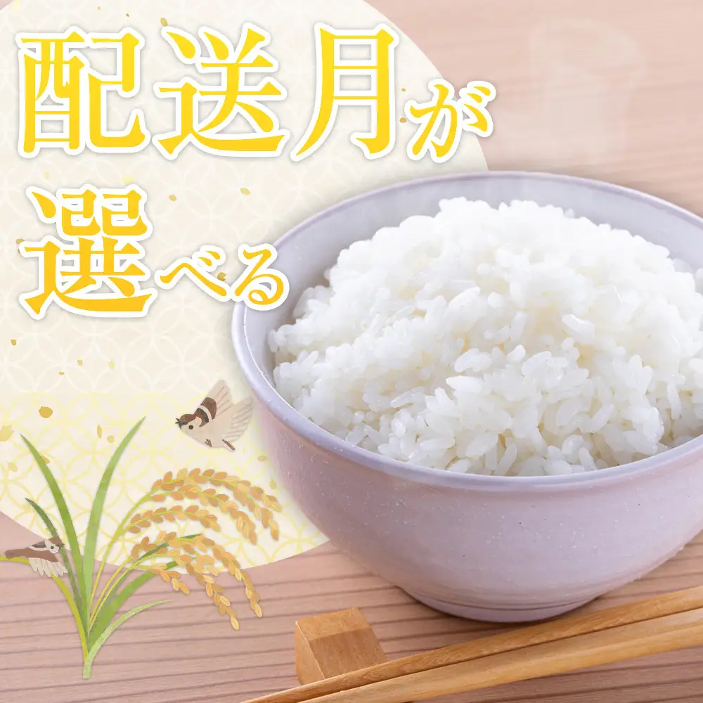 令和7年 旭川産ななつぼし10kg (5kg×2袋) (精白米) | ななつぼし_05957