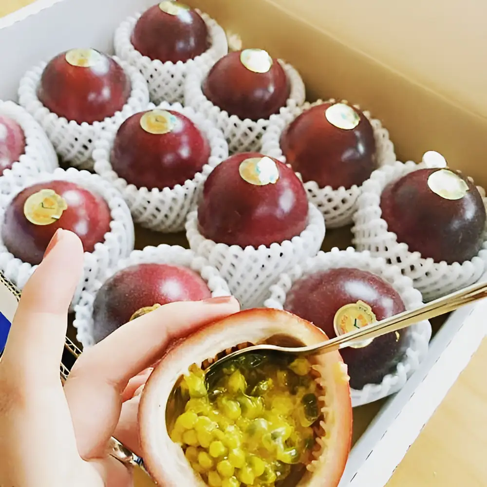 夏採れ!!【数量限定】パッションフルーツ　約１.６kg　Lサイズ　化粧箱