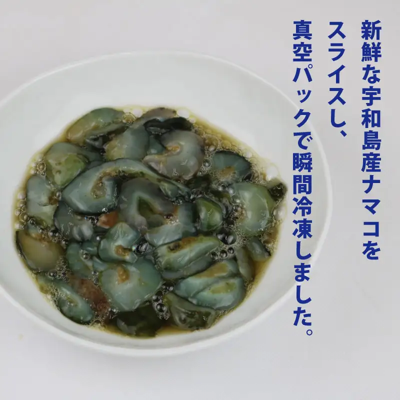 ナマコ スライス 100g × 4 パック 宇和島鮮魚 ナマコ D010-200040