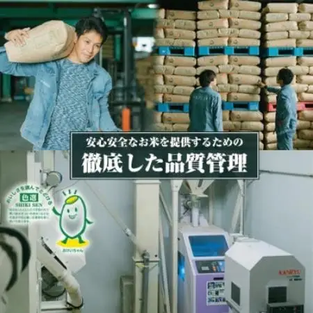 【毎月定期便】丹後産ミルキークイーン 精米5kg　冷めても美味しいモチモチふっくらのお米全12回【4059238】