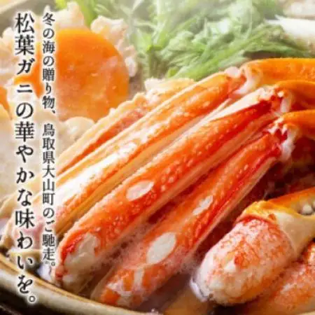 【11月中旬以降順次発送】ボイル松葉ガニ(400～500gを2枚)　OM-19-1【配送不可地域：離島・北海道・沖縄県・東北・信越、北陸】【1745701】