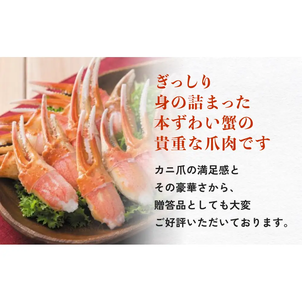 本ズワイガニ 爪肉 3kg 蟹爪 かに カニ 蟹 蟹の爪 ずわいがに 冷凍 海鮮 魚介類