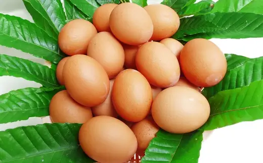 有精卵 50個入り ( 破卵保障 5個含む ) 卵 たまご タマゴ 玉子 卵かけご飯 TGK 鶏卵 鶏 ニワトリ 卵料理 低コレステロール 冷蔵
