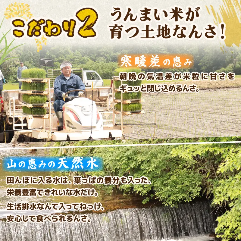 【新米予約】 プレミアム コシヒカリ 10kg（5kg×2袋） 令和8年産 特別栽培米 こしひかり プレミアムコシヒカリ 精米 白米 ご飯 おにぎり 弁当 新潟県産 新発田産 菅谷産 新潟 米 お米 こめ 居城農園 菅谷 新潟県 新発田市 D79_202610_01