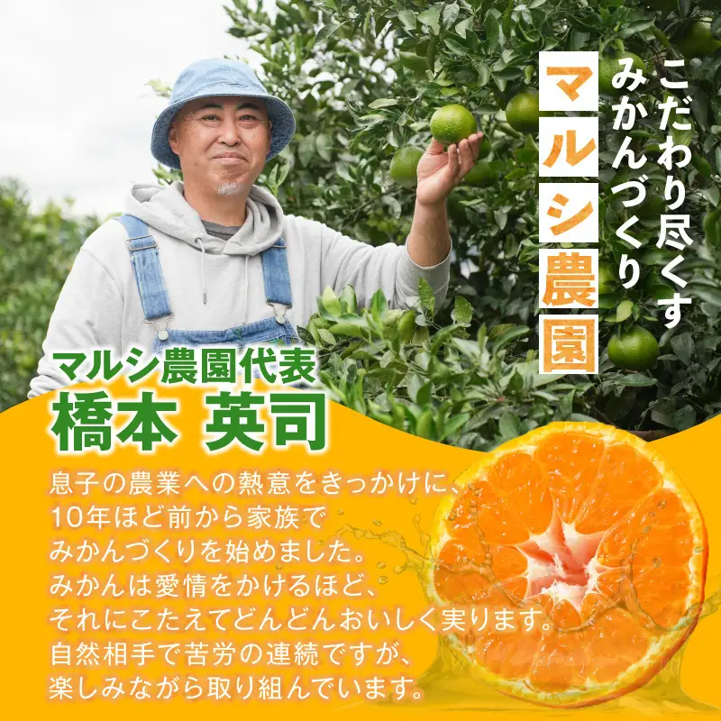 有田みかん　L,2Lサイズ混合　約5kg_BF6070
