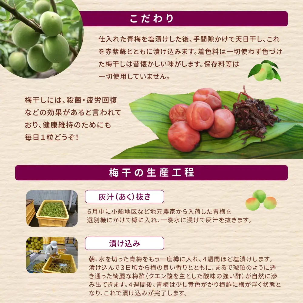 梅干し 無添加 南高梅 小分けタイプ 昔ながらのすっぱい しそ漬け梅干し 500g (100g×5P) 【frsn0031A】