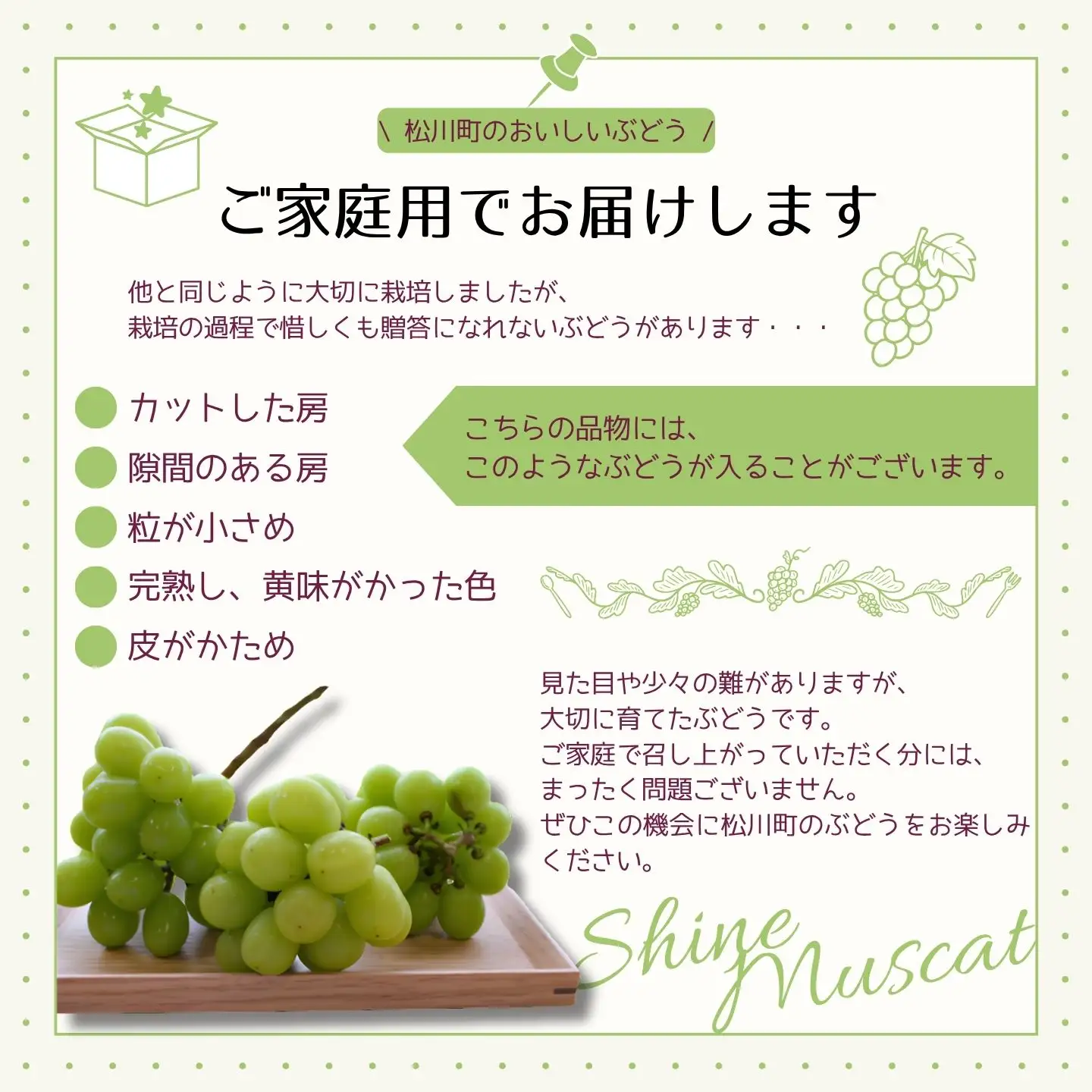 KG17 ぶどう 農家直送 シャインマスカット 家庭用 約1kg／2026年9月下旬頃～配送予定 // 長野県 南信州 松川町 葡萄 ぶどう ブドウ 産地直送 農家直送 シャインマスカット マスカット 種なし 皮ごと  果物 フルーツ 訳あり 家庭用 フードロス