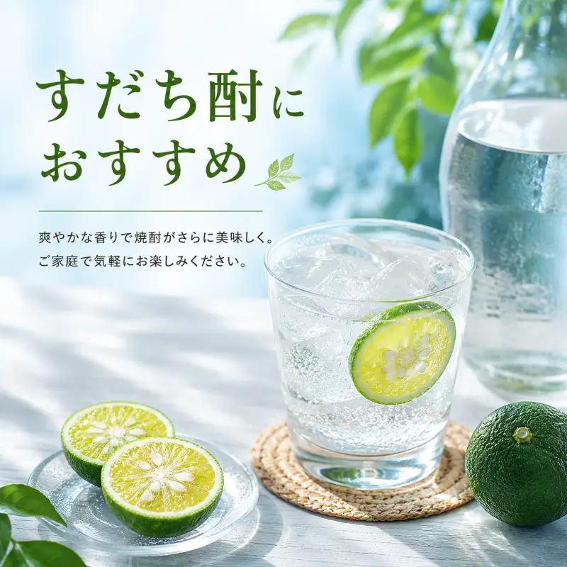 訳あり すだち 1.2kg スダチ 家庭用 【 すだち 】