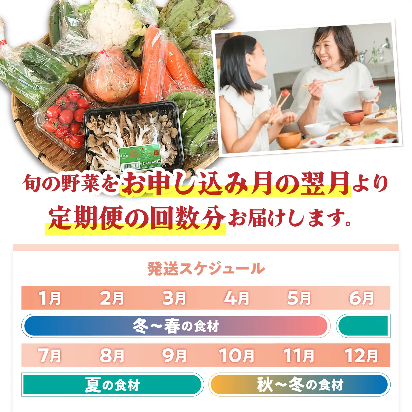【毎月コース】野菜 キノコ 果物 11品目 詰め合わせ 8回 定期便  / 南島原市 / 吉岡青果[SCZ034]