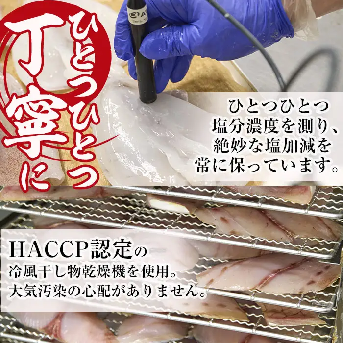 【定期便・全3回】朝獲れ鮮魚で作る！魚屋さんの 自家製 ソフト 干物(合計1kg以上・5～10枚×3回)アジ イワシ カマス イカ タイ ブリカマ セット 詰め合わせ ひもの 焼き魚 おかず お惣菜【YS-9】【株式会社安田】 [YS-9]