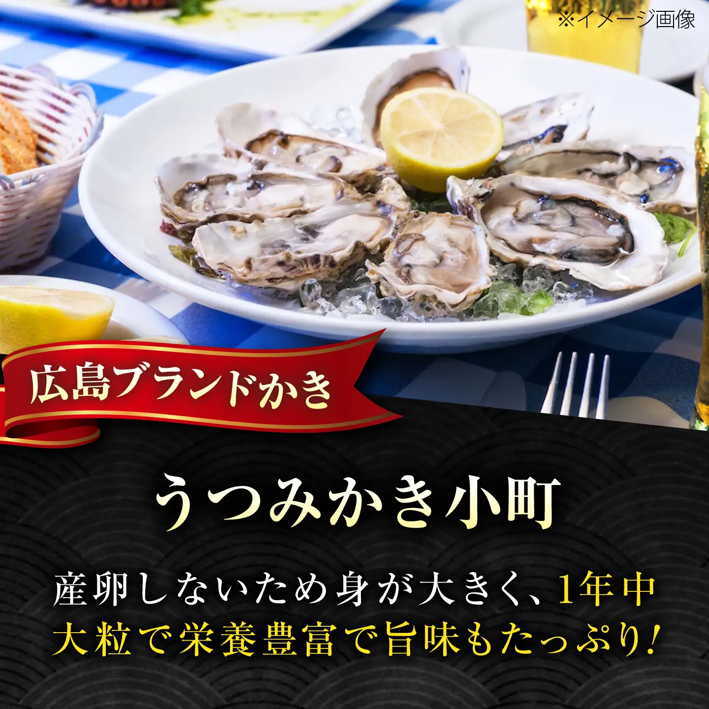 広島産牡蠣（Sサイズ25個）うつみかき小町（殻付き）[BAAQ010] 牡蠣