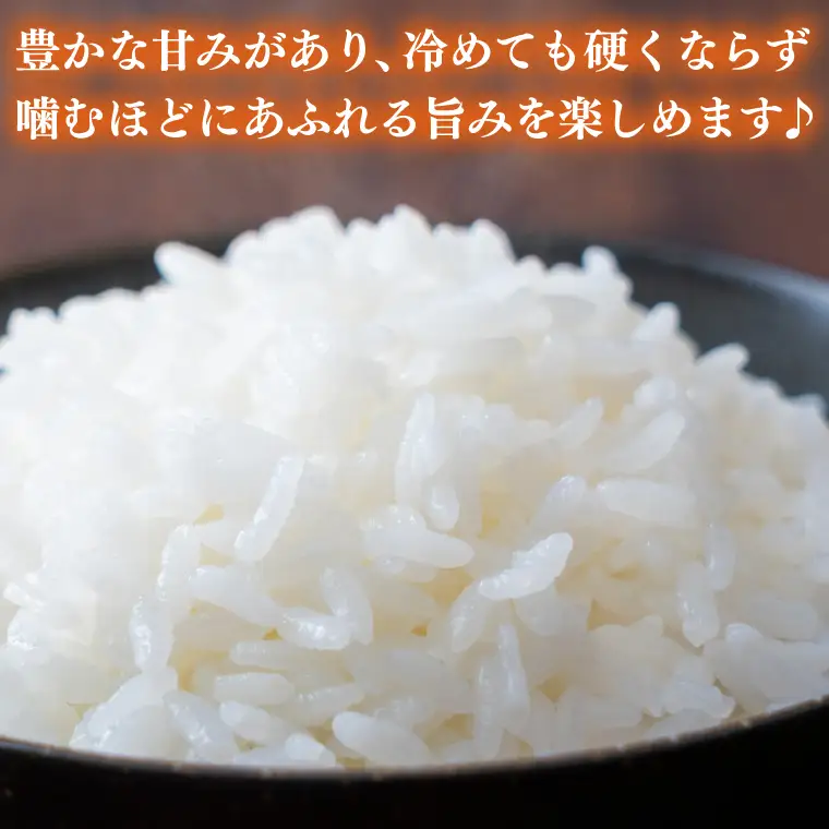 【食べ比べセット】山﨑観光農園のお米 10㎏ ゆうだい21×とちぎの星 （AU057）