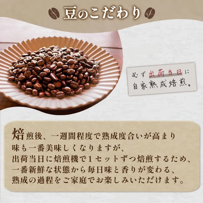 【豆】 訳あり コーヒー豆 お試し 150g ブラジル コーヒー EW 