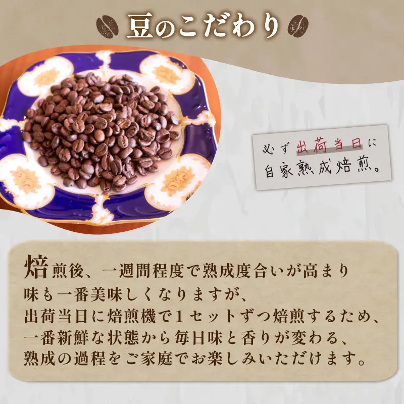 【豆】 訳あり コーヒー豆 お試し 120g グアテマラ コーヒー EW