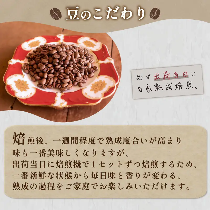 【豆】 訳あり コーヒー豆 お試し 120g エチオピア コーヒー EW