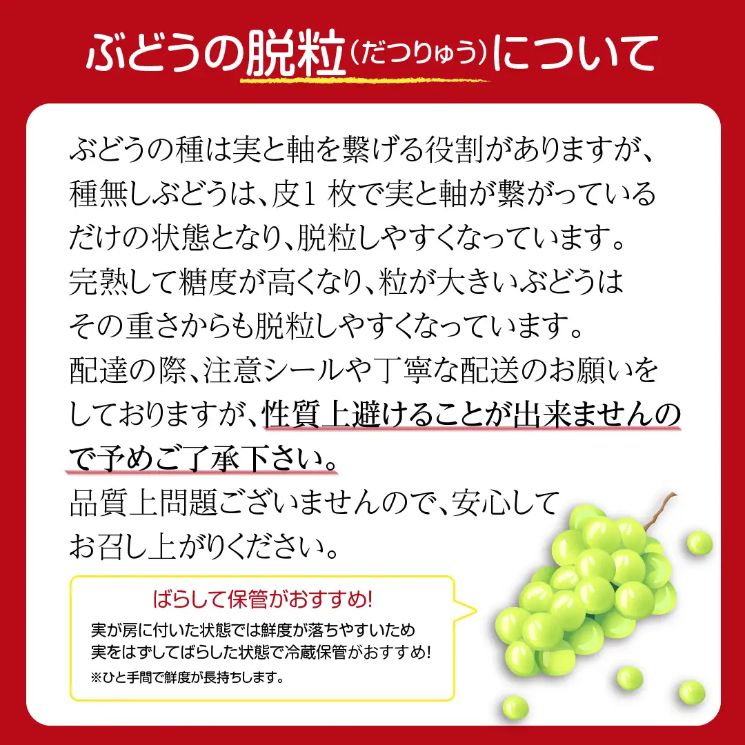【 先行予約 2026年発送 】 マイハート 1kg 冷蔵 種無し 種なし ブドウ ぶどう シャインマスカット 巨峰 品種 果物 家庭用 甘さ 大粒 美味しい 食べ方 ランキング おすすめ 福島県 田村市 福島 ふくしま 鈴木農園 でんじろうさん